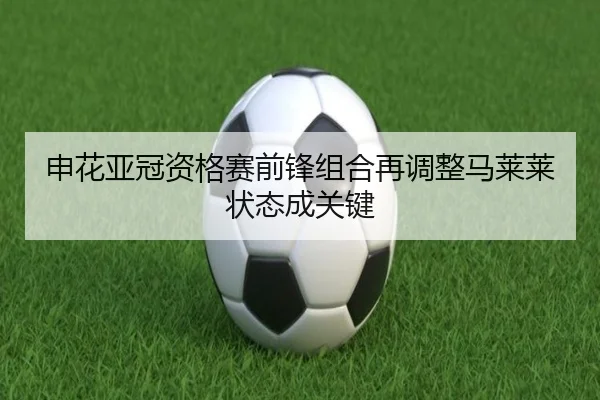 申花亚冠资格赛前锋组合再调整马莱莱状态成关键